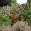 cottage-garden-pot