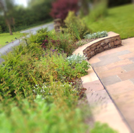 chorley-raised-beds-tiltshift