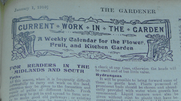 Gardening 1910 style