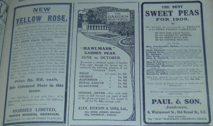 1910-image-2